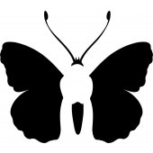 Sticker pentru Ipad 3 Fluture