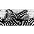 Sticker pentru faianta Zebra