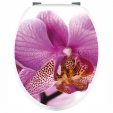 Sticker WC Orhidee