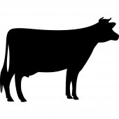 Sticker Ardezie Vaca