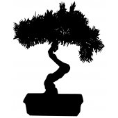 Sticker Bonsai