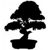 Sticker Bonsai