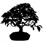 Sticker Bonsai