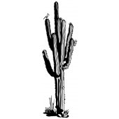 Sticker Cactus