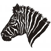 Sticker Cap de Zebra