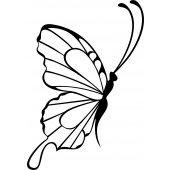 Sticker pentru Ipad 2 Fluture