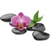 Sticker Roci Orhidee