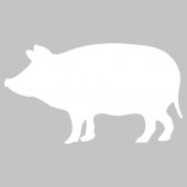 Sticker tabla velleda Porc
