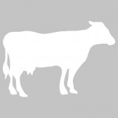 Sticker tabla velleda Vaca