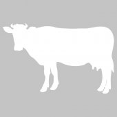 Sticker tabla velleda Vaca