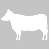 Sticker tabla velleda Vaca
