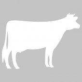 Sticker tabla velleda Vaca