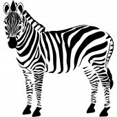 Sticker Zebra