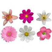 Stickere copii kit 6 Flori
