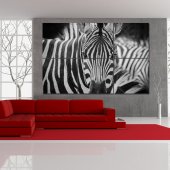 Tablou Forex Zebra